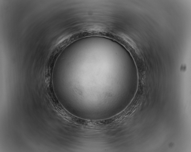 X0000098071015200804041120