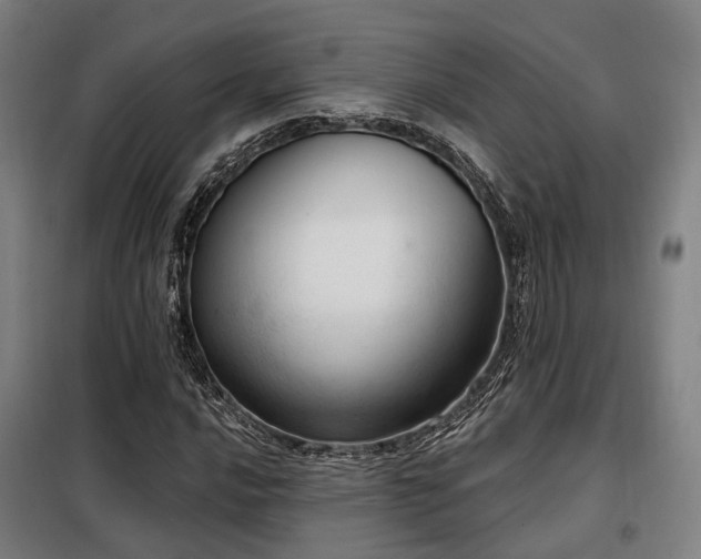 X0000098071016200804041120