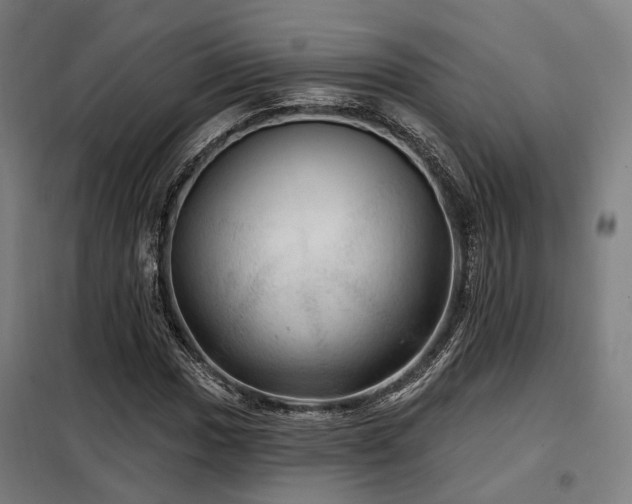 X0000098071017200804041120