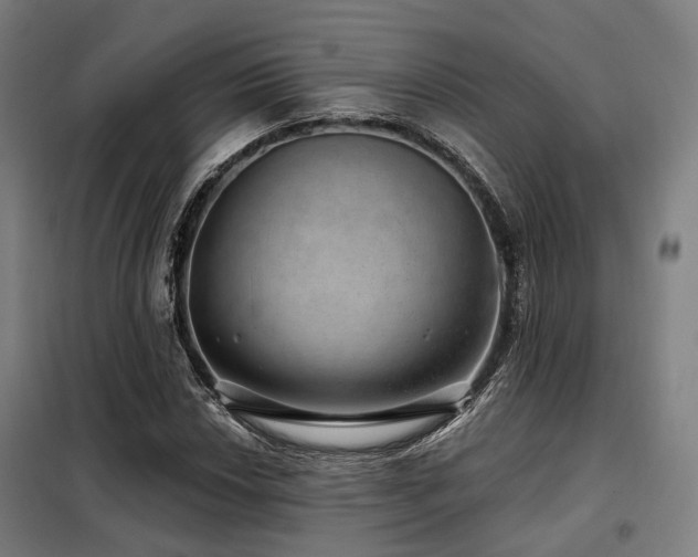 X0000098071018200804041120