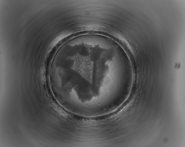 X0000098071019200804041120