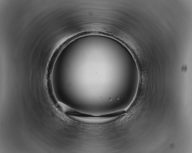 X0000098071020200804041120