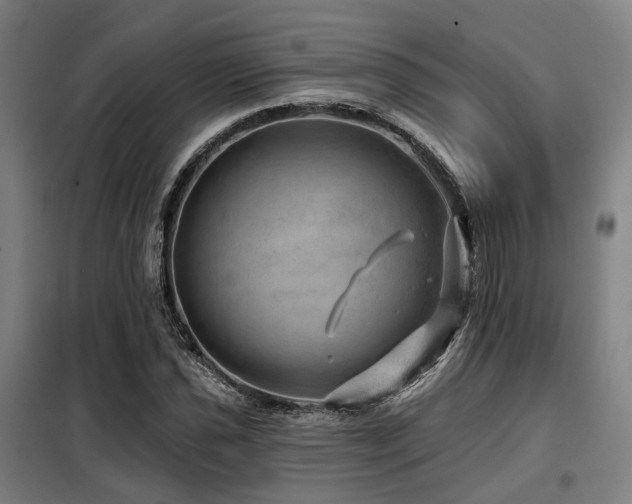 X0000098071021200804041120