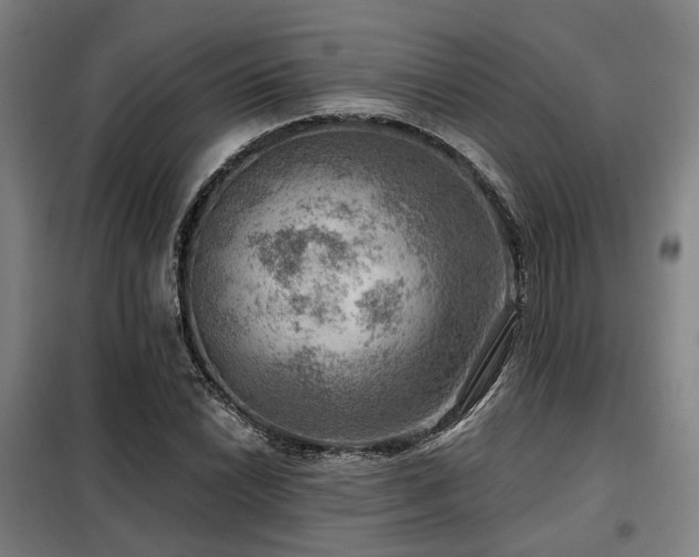 X0000098071022200804041120