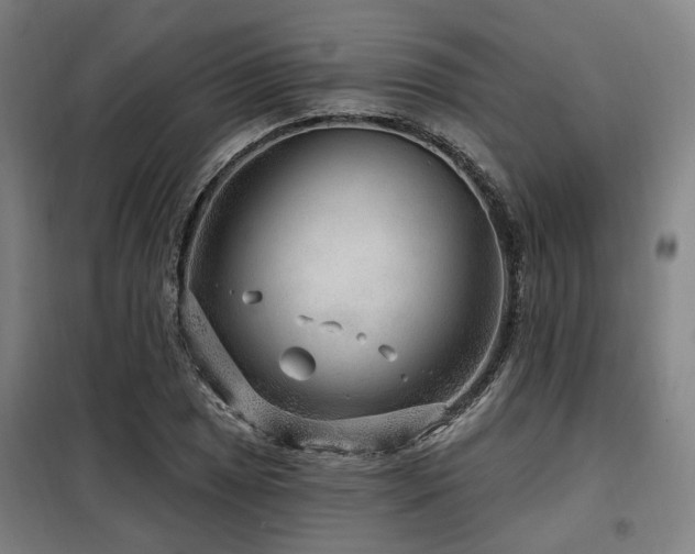 X0000098071025200804041120