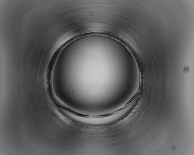 X0000098071026200804041120