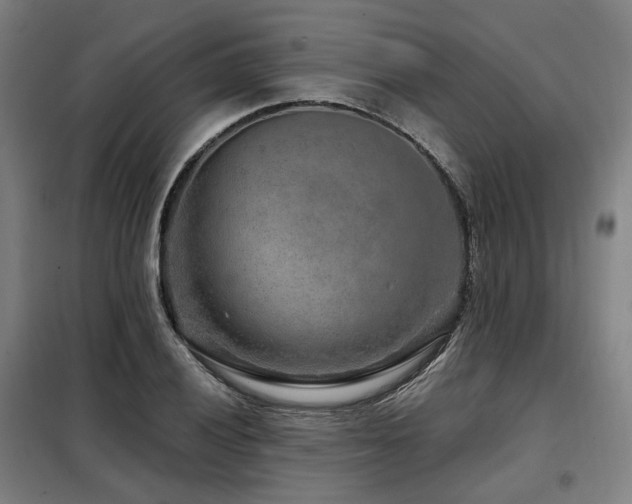 X0000098071028200804041120