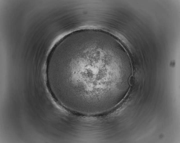 X0000098071030200804041120