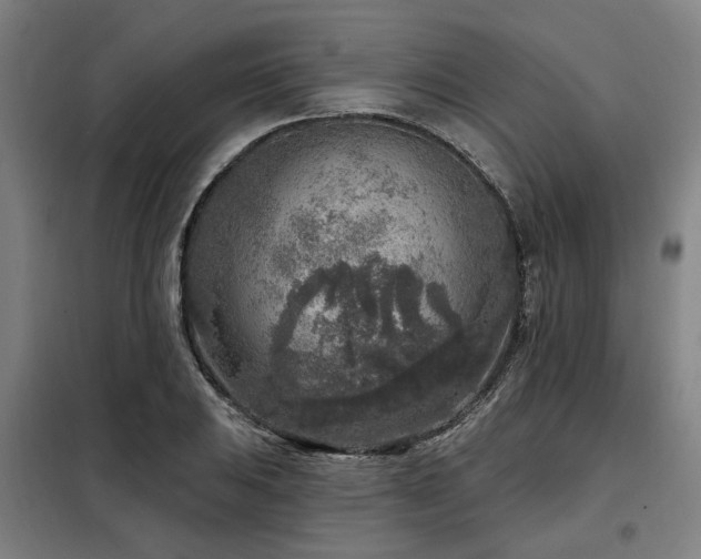 X0000098071031200804041120