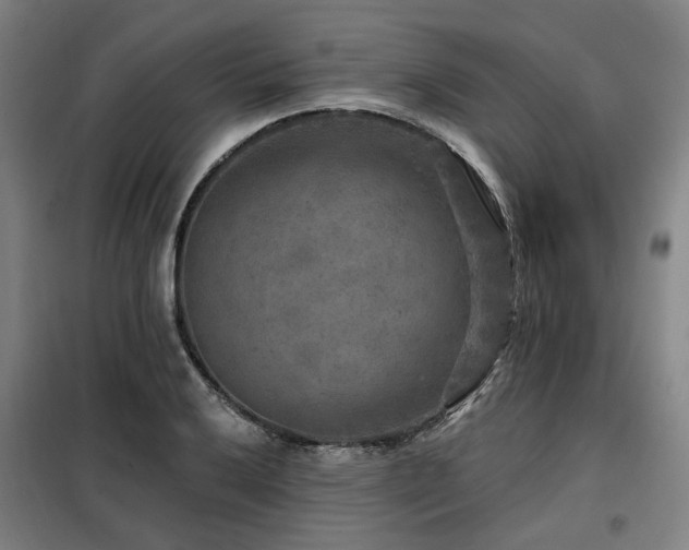 X0000098071032200804041120