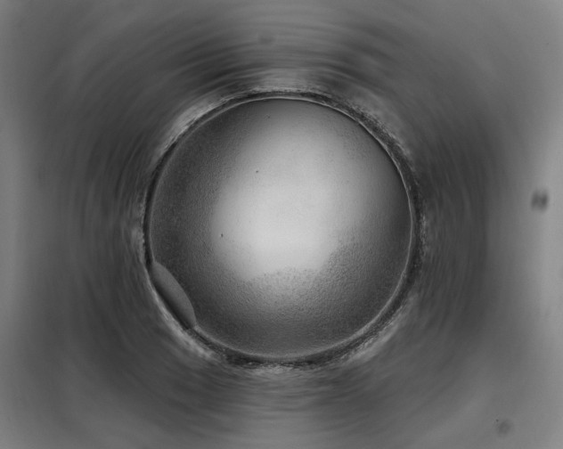 X0000098071033200804041120