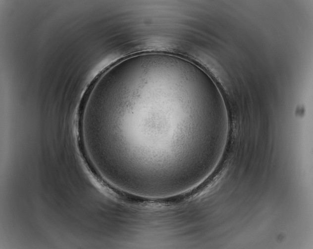 X0000098071034200804041120