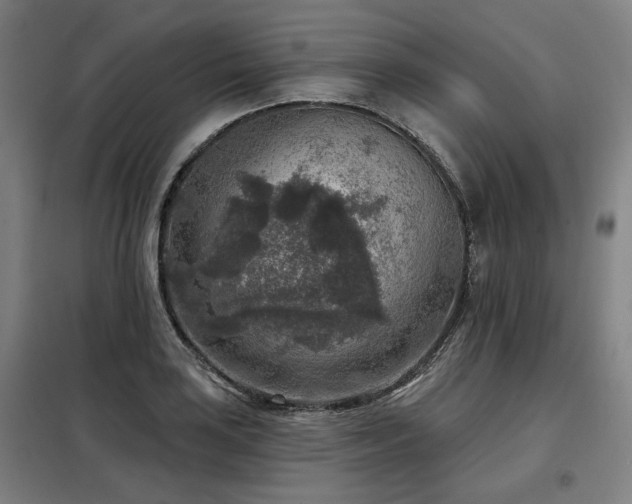 X0000098071035200804041120