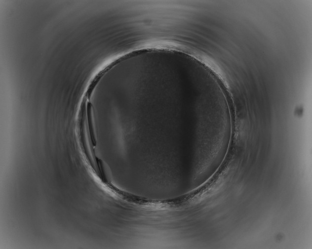 X0000098071037200804041120