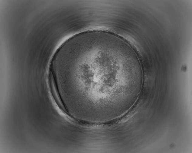 X0000098071038200804041120