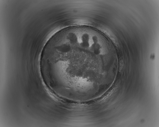 X0000098071039200804041120