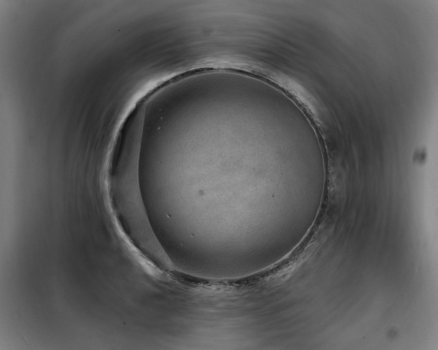 X0000098071040200804041120