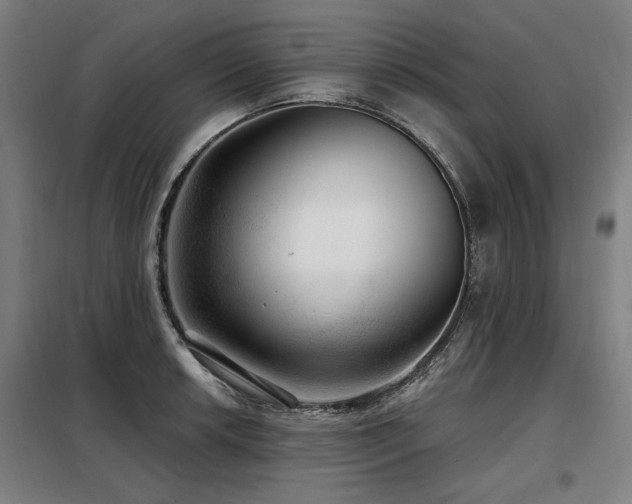 X0000098071042200804041120