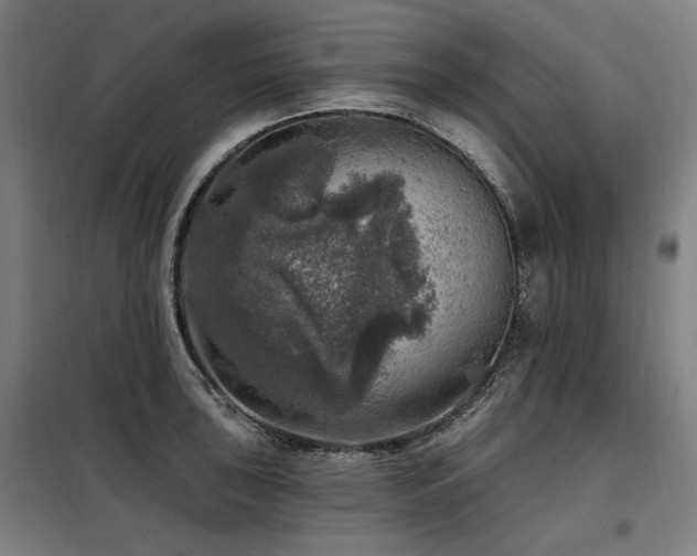 X0000098071043200804041120