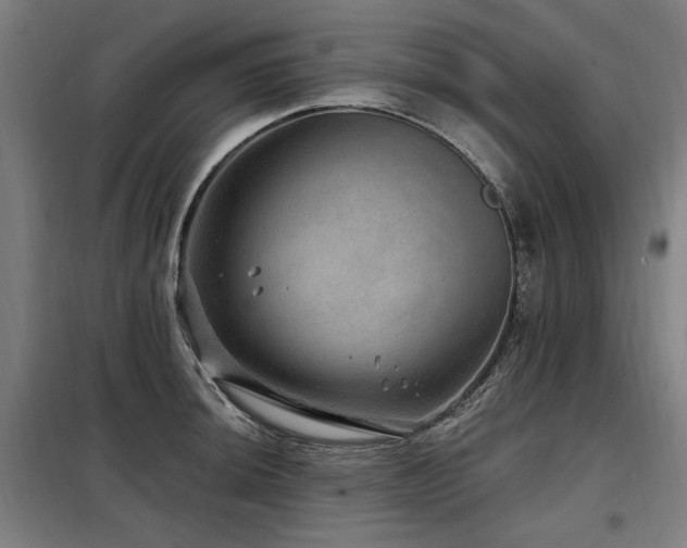 X0000098071044200804041120