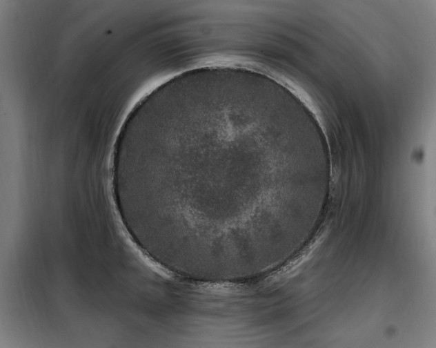 X0000098071045200804041120