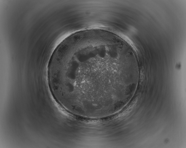 X0000098071047200804041120