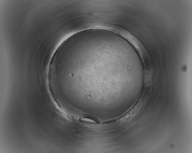 X0000098071048200804041120