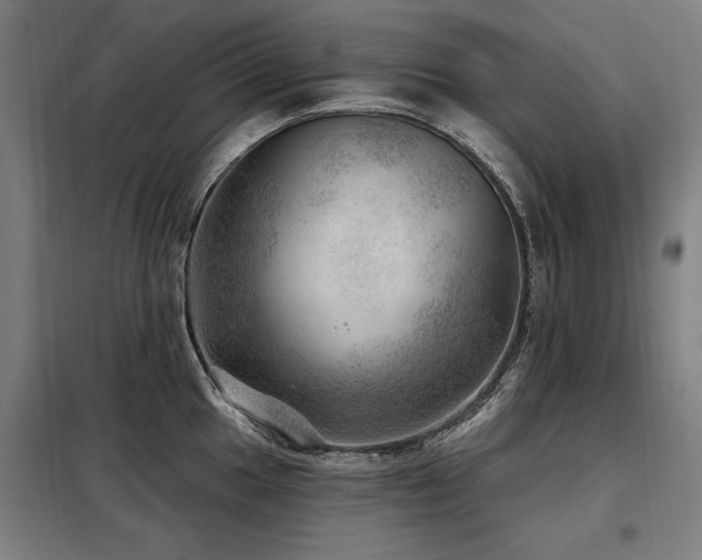 X0000098071049200804041120