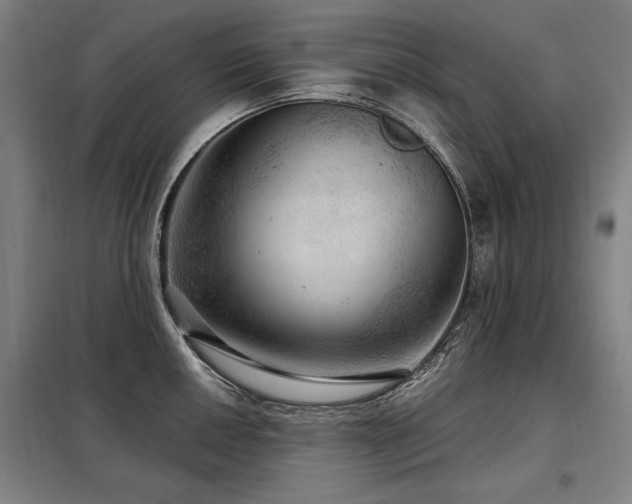 X0000098071050200804041120