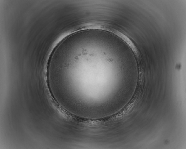 X0000098071051200804041120