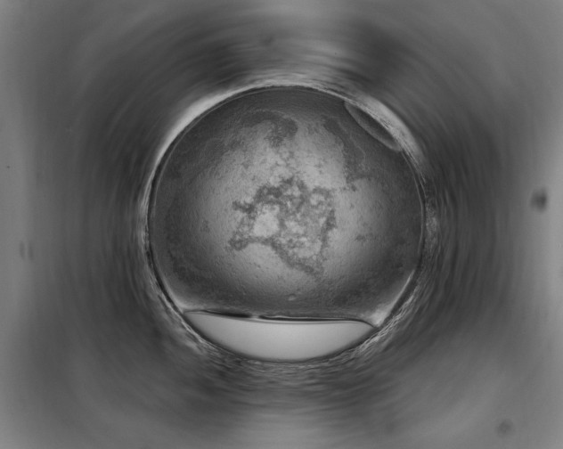 X0000098071052200804041120