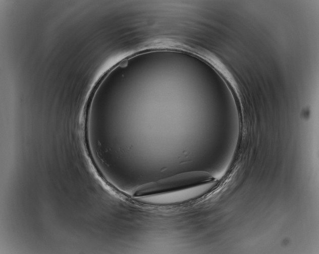 X0000098071053200804041120