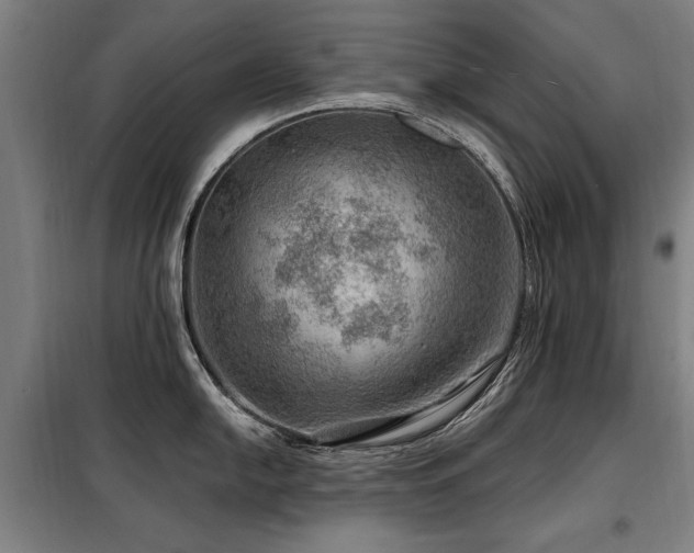 X0000098071054200804041120