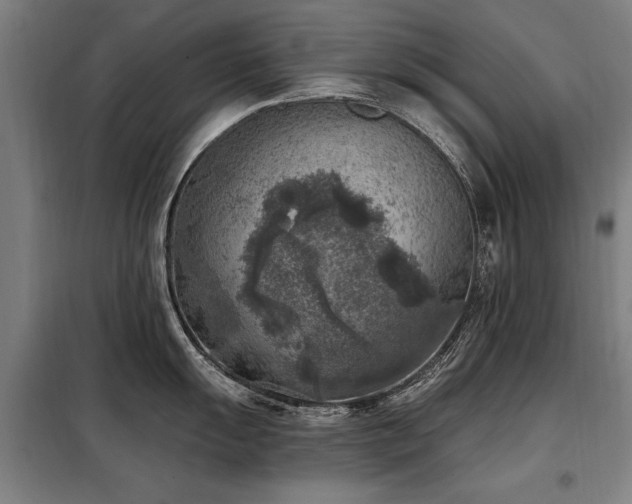 X0000098071055200804041120