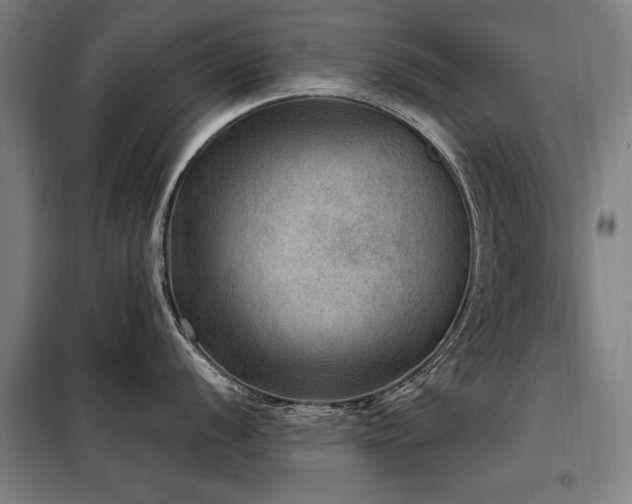 X0000098071056200804041120