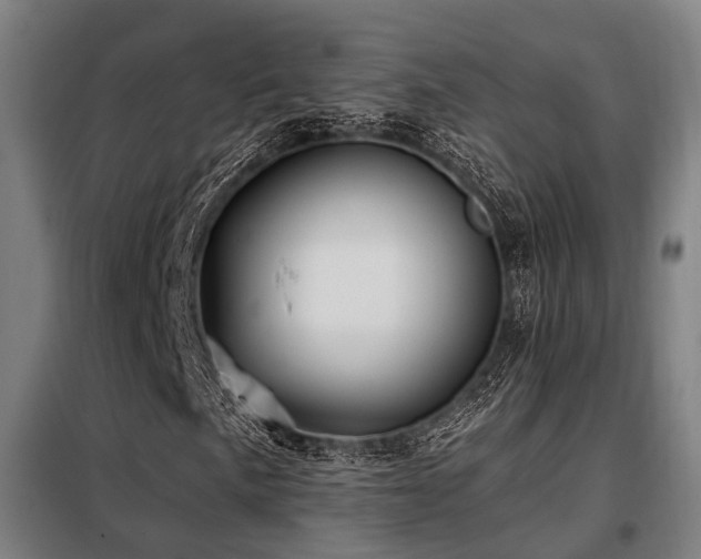 X0000098071057200804041120