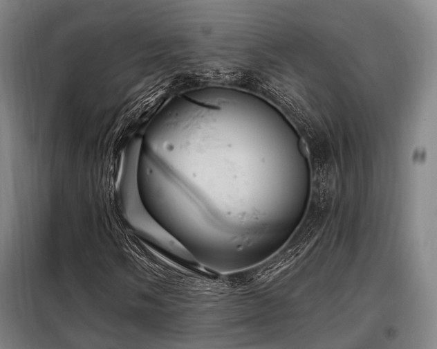 X0000098071058200804041120