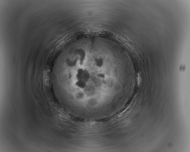 X0000098071059200804041120