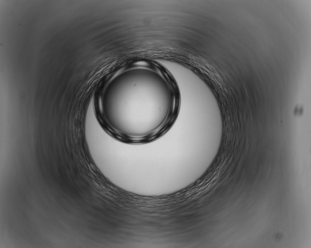 X0000098071060200804041120