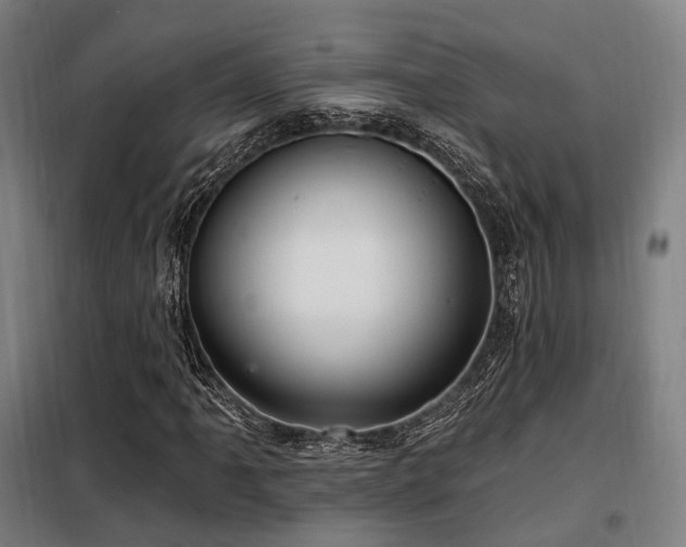 X0000098071061200804041120