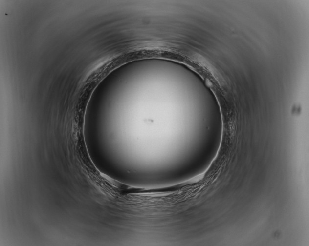 X0000098071064200804041120