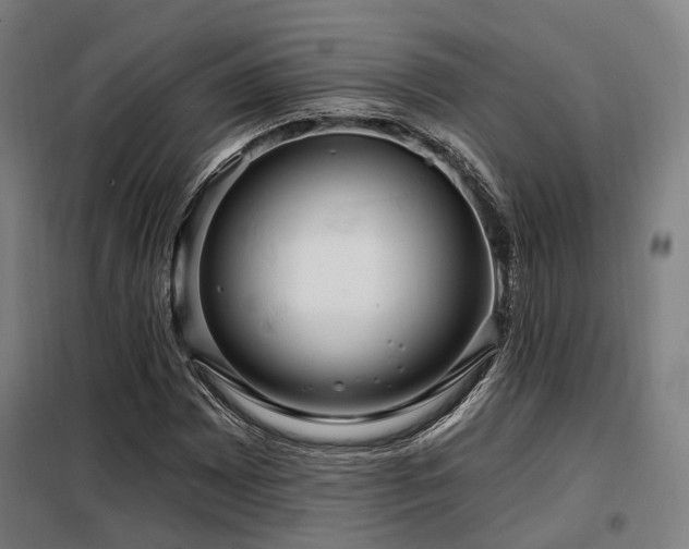 X0000098071065200804041120