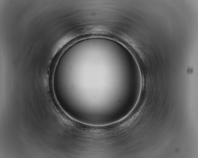 X0000098071066200804041120