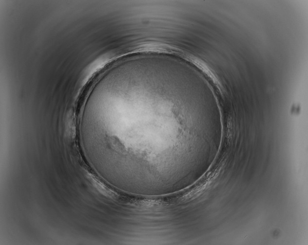 X0000098071067200804041119