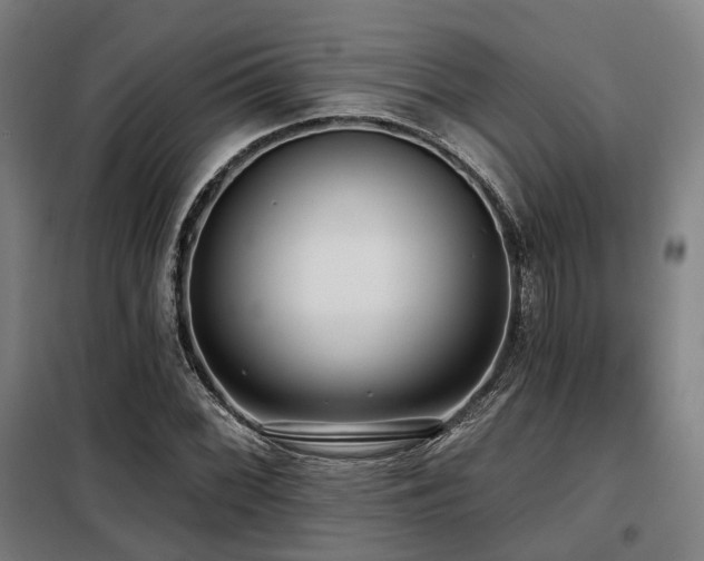 X0000098071068200804041119