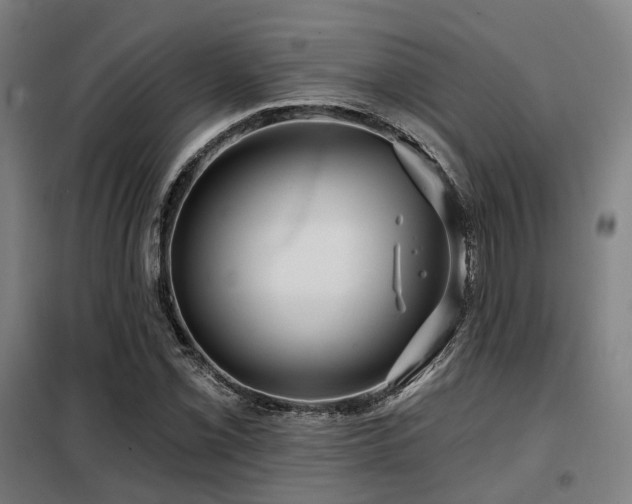 X0000098071069200804041119