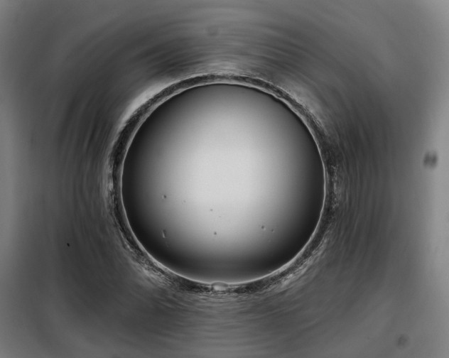 X0000098071070200804041119