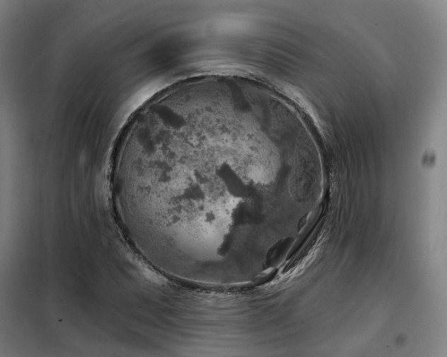 X0000098071071200804041119