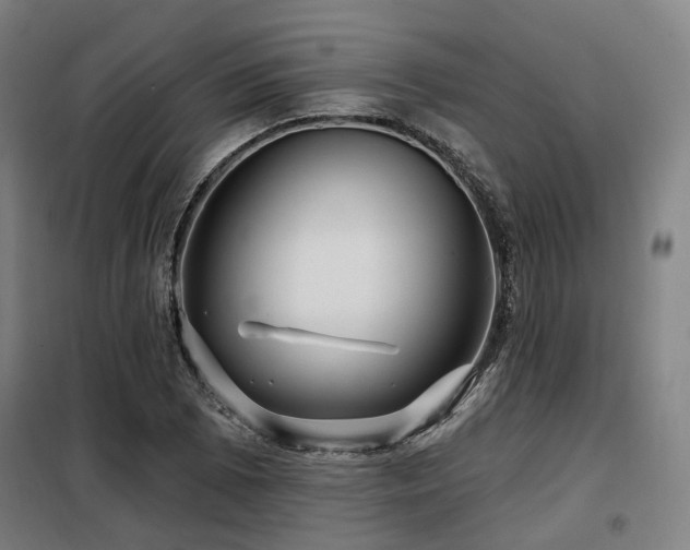 X0000098071073200804041119