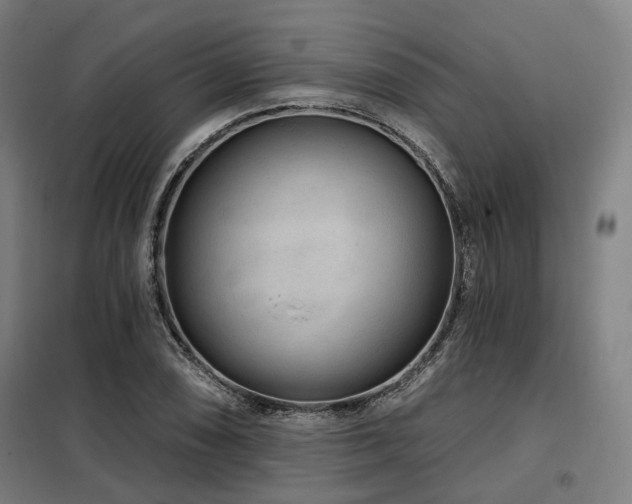 X0000098071074200804041119